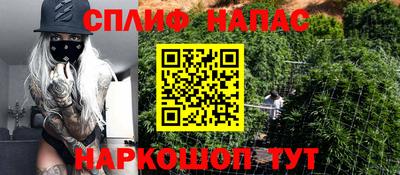 индика Белорецк