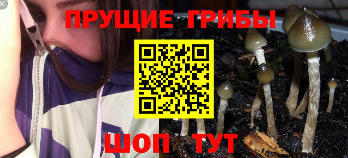 Галлюциногенные грибы MAGIC MUSHROOMS  Галлюциногенные грибы Cubensis  Вход с VPN  Оренбург 