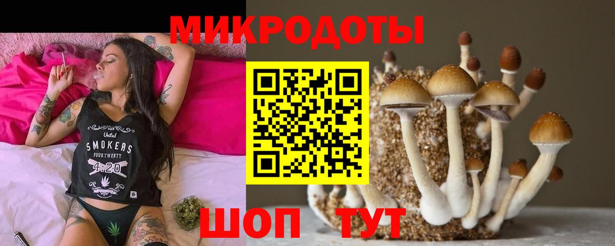 Галлюциногенные грибы Psilocybine cubensis Оренбург